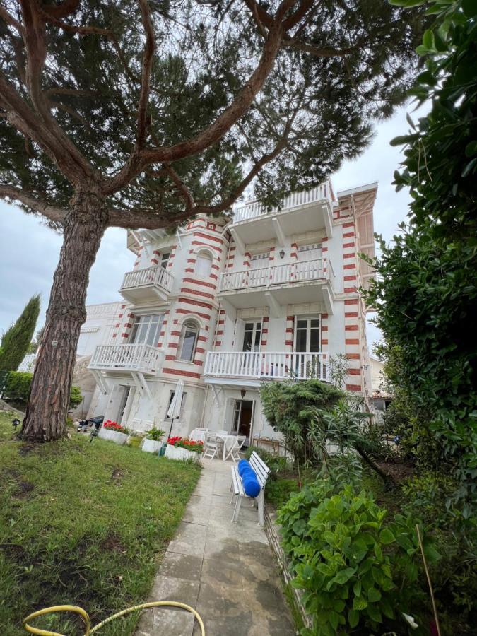 Falaise De Pontaillac Vaux-sur-Mer Luaran gambar